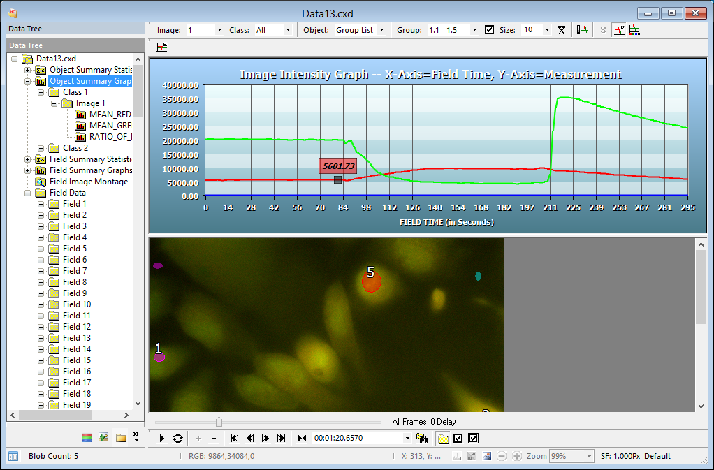 Object Summary Graphs